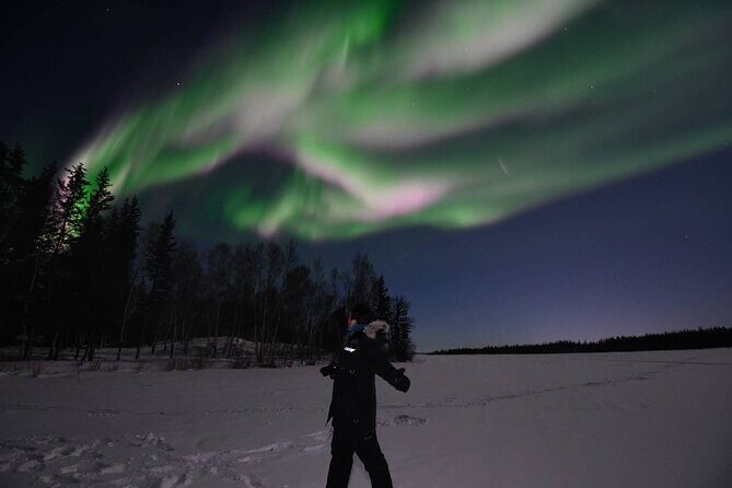 The Greatest Valuable Aurora Manor & Hunting Tour --Exclusive Tour Operator - Who Is This Tour Best For?