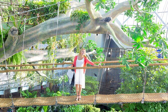 The Green Planet Dubai with Options - The Sum Up: Who Will Love The Green Planet?