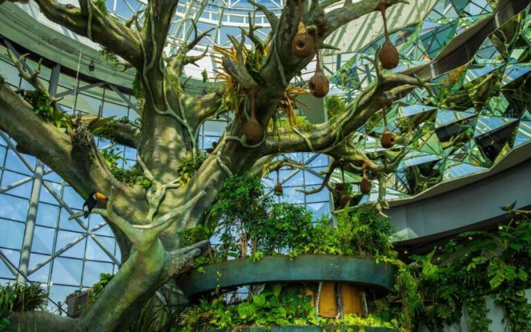 The Green Planet - Dubai's Unique Indoor Rainforest - Practical Details: What You Need to Know