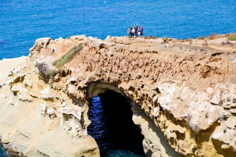 The La Jolla Tour - Exploring La Jolla: What You Can Expect