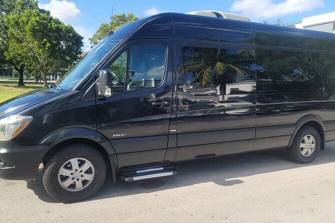 The Life Tours - What Makes This Transportation Service Stand Out?