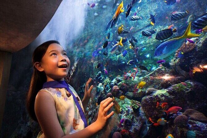 The Lost Chambers Aquarium - Final Thoughts: Is It Worth It?
