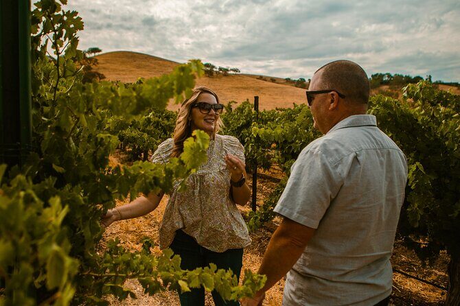 The Luxe Wine Trail Excursion Paso Robles - Is the Price Worth It?