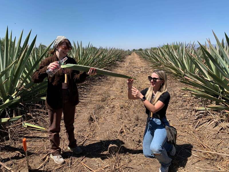 The Mezcal Journey