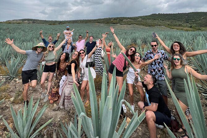 The Mezcal Journey - Wandering Among the Agave Fields