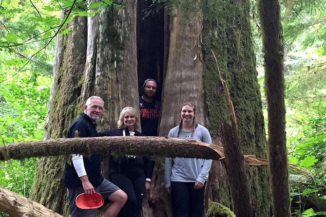 The Mt St Helens Adventure Tour from Portland - Is it Worth the Price?