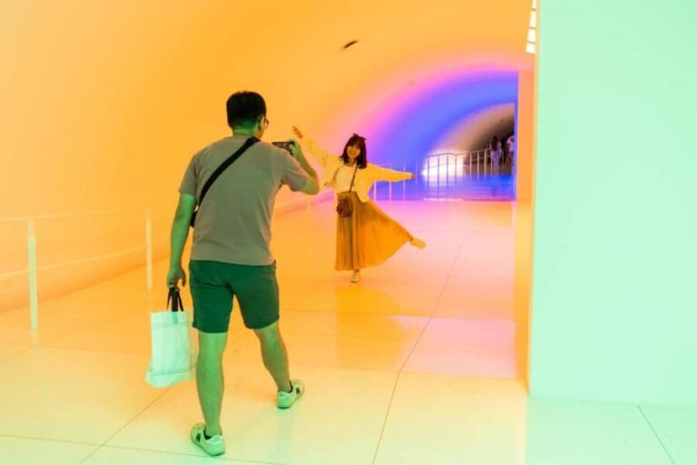 The Museum of Fine Arts, Houston Entry Ticket - Who Will Love This Experience?