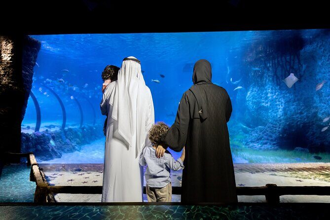 The National Aquarium Abu Dhabi Ticket - Authentic Perspectives from Visitors