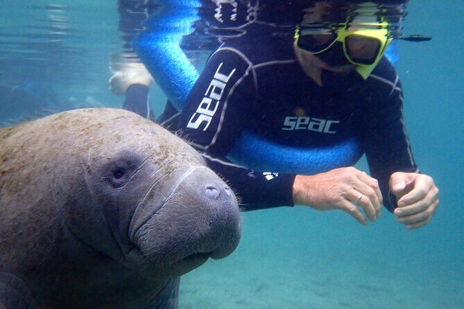 The 'OG' Manatee Snorkel Tour with In-Water Guide/Photographer - Detailed Breakdown of the Itinerary