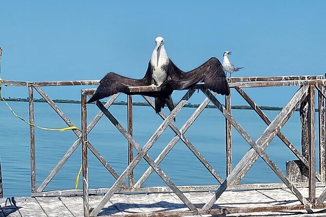The Three Islands Tour Explore Holbox's Natural Wonders - The Experience: What Travelers Say