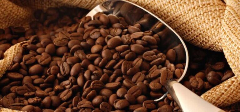 The World of Latte Art: Coffee from the Chiapas Creamy Heart - The Sum Up