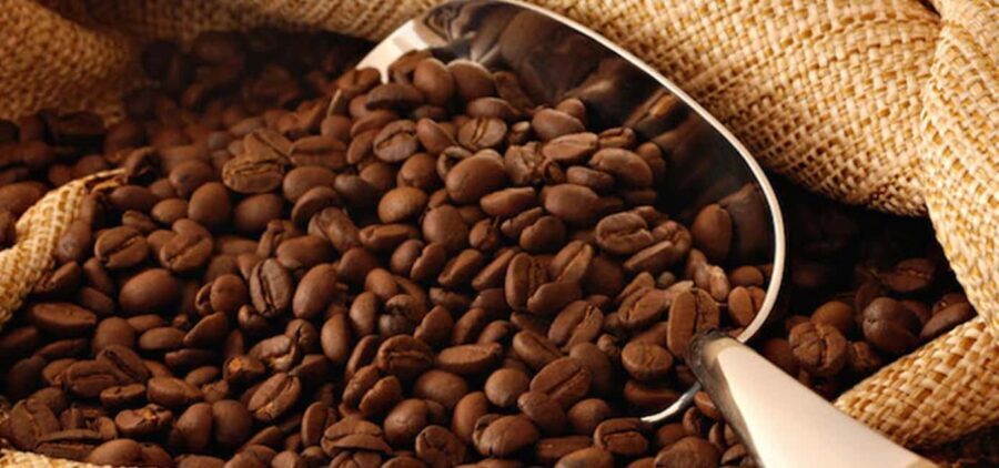 The World of Latte Art: Coffee from the Chiapas Creamy Heart