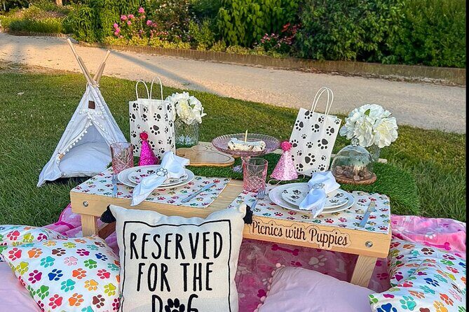Themed Luxury Picnic - FAQs