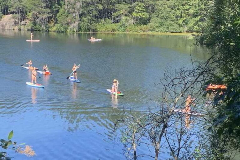 Thetis Lake: Paddle Board Tour with Gear Included - What Reviewers Say