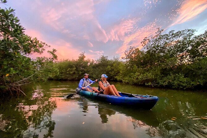 Thousand Islands Mangrove Tunnel & Bio Comb Jelly Sunset Tour - What to Expect from the Itinerary