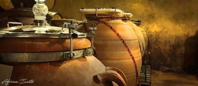 Three Cape Wine Districts: Private tour with winemaker. - What Past Travelers Say