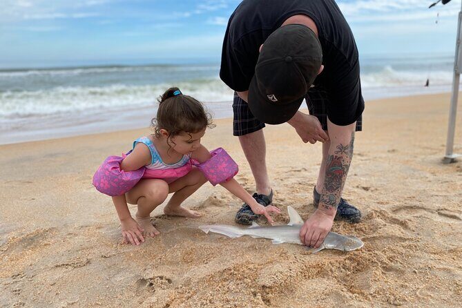 Three-Hour Beach Fishing Charter in Northeast Florida - The Sum Up