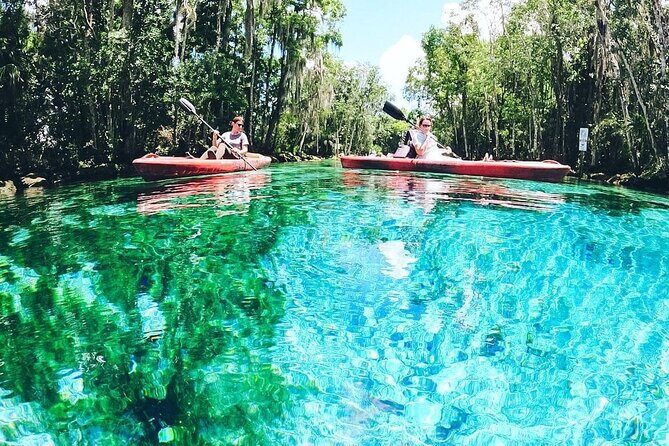 Three Sisters Springs Kayak And Swim Eco-Tour Crystal River - An In-Depth Look at the Experience