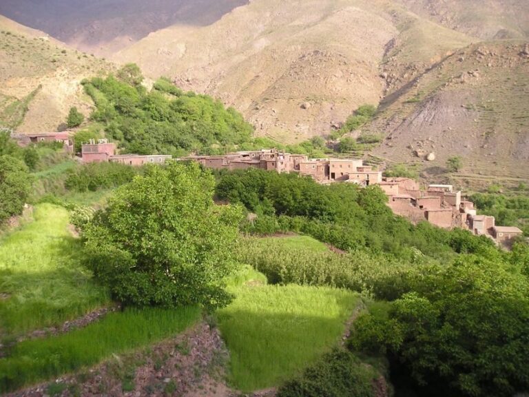Three valleys, Atlas Mountain, waterfalls & Agafay Desert - Argan Oil Cooperative & Moroccan Tea