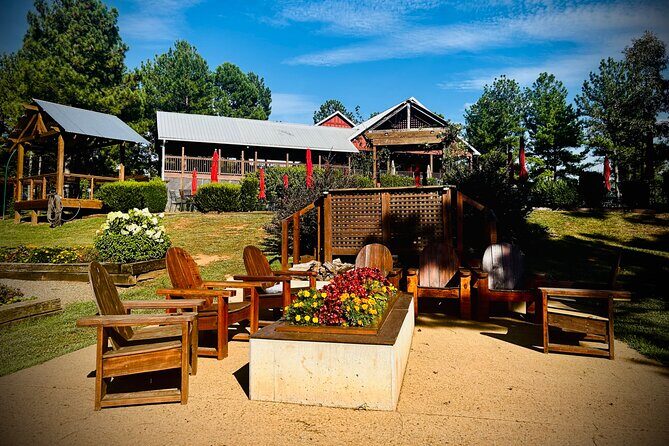 Three Vineyards Half Day Private Wine Tour From Asheville - Analyzing the Value