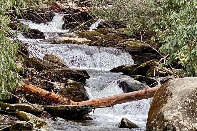 Thundering Streams and Falls of the Smokies Guided Hiking Tour - Who Should Consider This Tour?