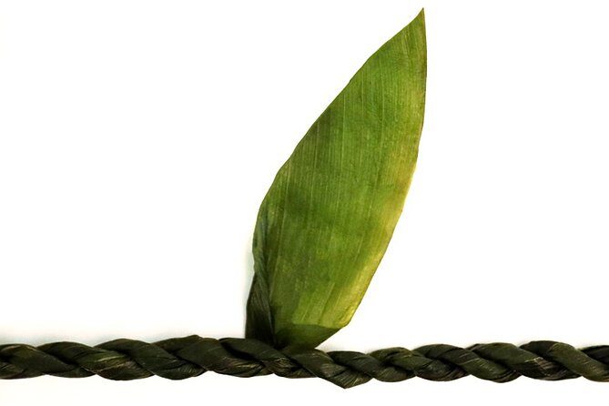 Ti Leaf Airport Lei Greeting (Maui, Kahului Airport, OGG) - The Value of the Lei Greeting