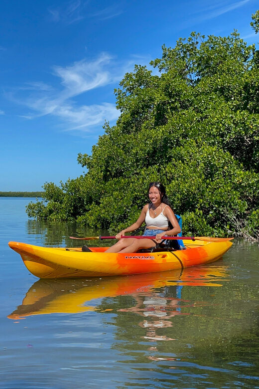 Tierra Verde: Shell Key Mangrove Private Guided 1.5 hr Tour