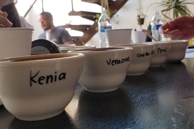 Tijuana Mexico Coffee Shop Hop from San Diego - Why It’s Worth Considering
