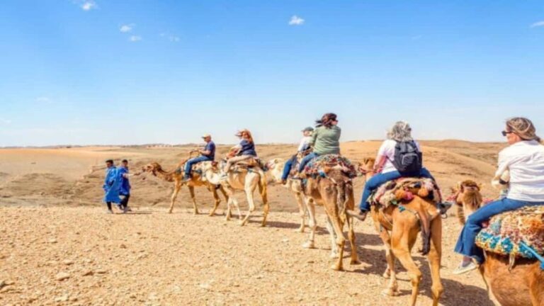 Timimoun: Sahara Camel Ride with Dinner and Music Show - A Closer Look at the Experience