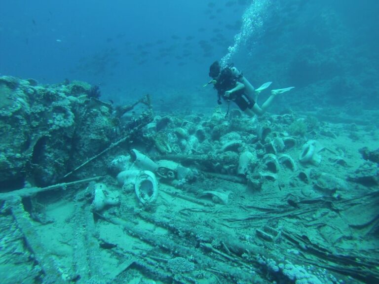 Tiran Island: Full-day Snorkeling, Diving Boat Trip - What the Reviews Tell Us: The Good and the Not-So-Good
