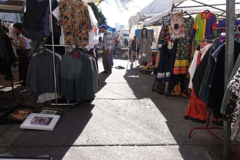 Tlatelolco and La lagunilla Market Mexico City Walking tour - What You Can Expect