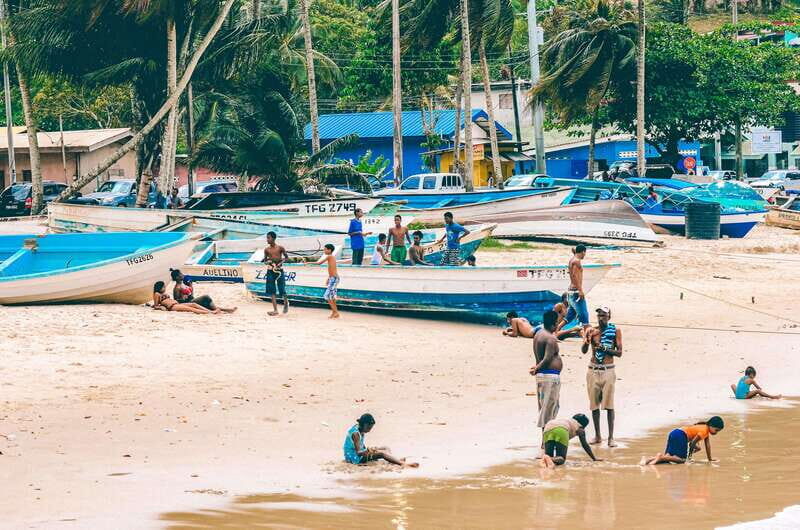 Tobago: Island Circle - An In-Depth Look at Tobago: Island Circle