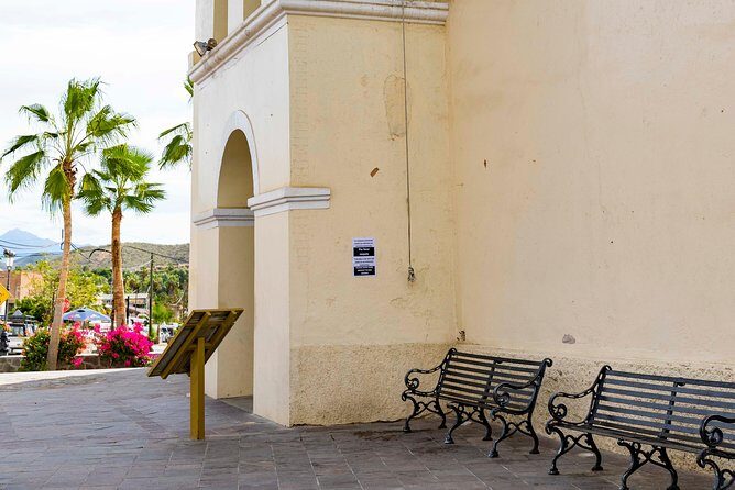 Todos Santos City Tour - Authentic Experiences and Local Flavor