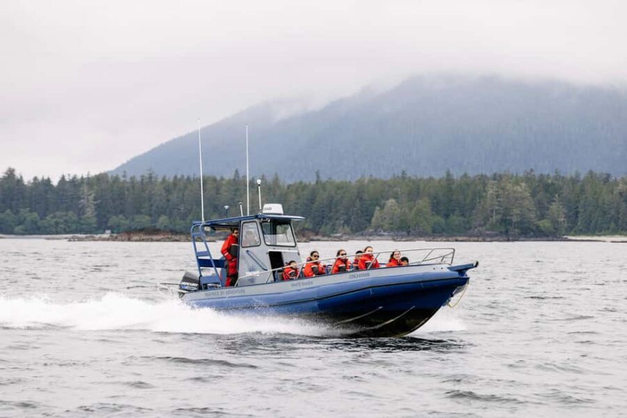 Tofino: Whale Watching Tour with Nature Guide