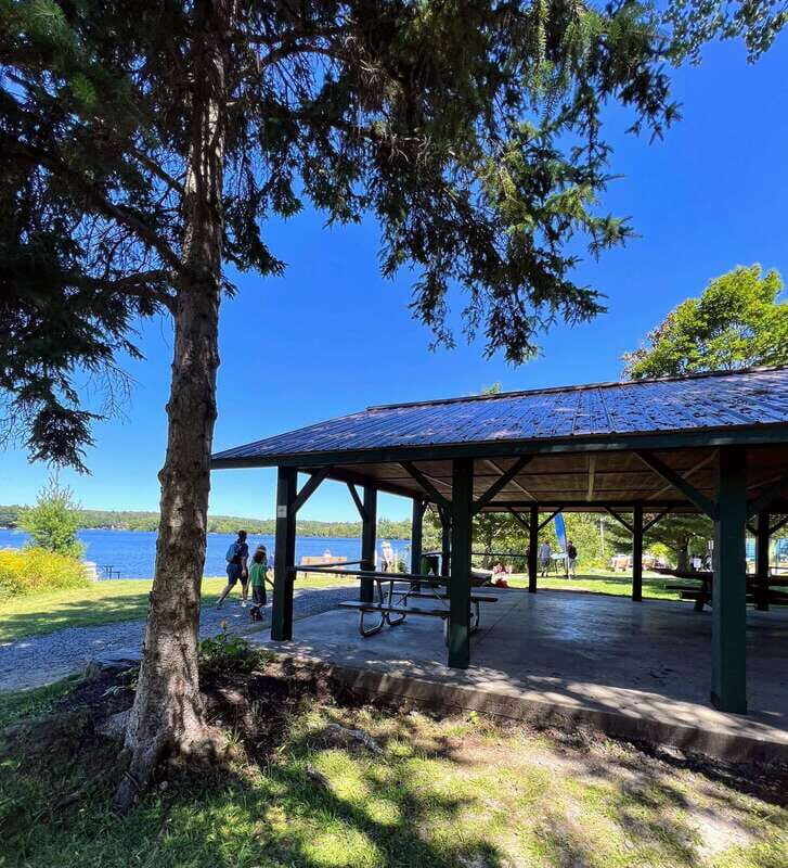 Tom Thomson Mystery Walking Tour with Smartphone App - Detailed Breakdown of the Tour