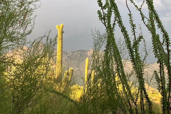 Tombstone & San Xavier, How the West was Won! - Final Thoughts