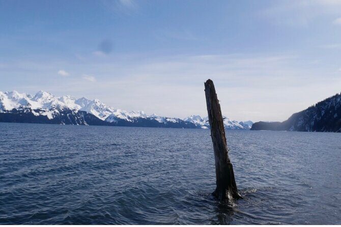 Tonsina Beach Hike with Seward Guided Hikes - Why This Tour Offers Great Value