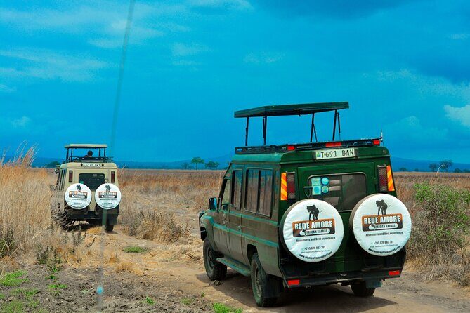Top Best 5 Days Tanzania Luxury Safari to Serengeti - Why Choose This Safari?