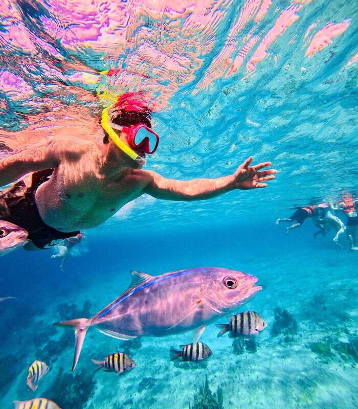 Top Experience: Snorkel & Beach Club All Inclusive / Open Bar & Lunch - What Makes This Tour Stand Out?