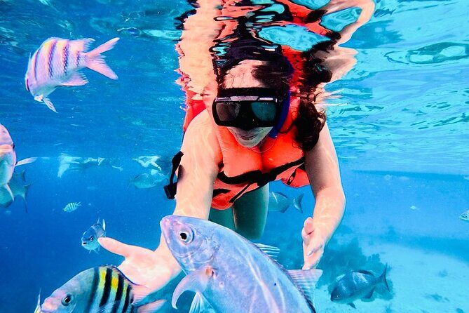 Top Experience: Snorkel Tour & All Inclusive Beach Club - Final Thoughts on the Experience