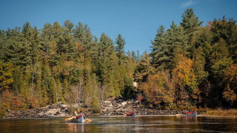 Toronto: Algonquin Park and Ragged Falls Day Trip - Transportation and Logistics