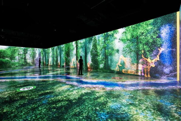 Toronto: Arcadia Earth, Immersive Experience Anytime Ticket - Location and Accessibility
