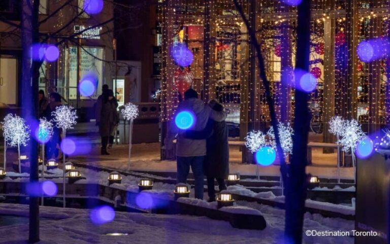 Toronto: Festive Lights Bus Tour - Who Will Enjoy This Tour?