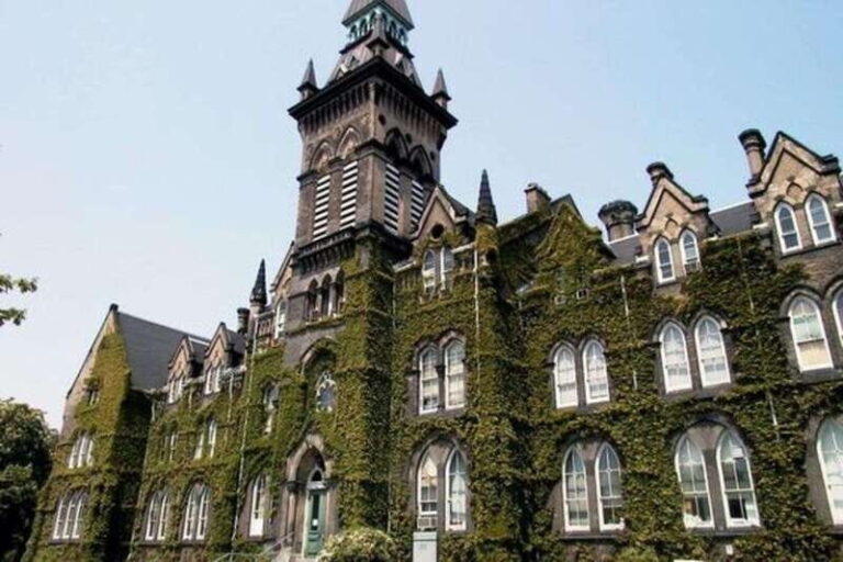 Toronto: Guided Walking Tour of Must-See Attractions - What’s Included and What’s Not