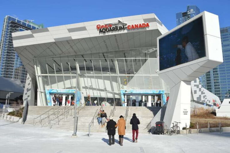 Toronto: Ripley's Aquarium of Canada Entry Ticket - Final Thoughts