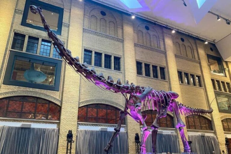 Toronto: Royal Ontario Museum Scavenger Hunt - The Value of the ROM Scavenger Hunt