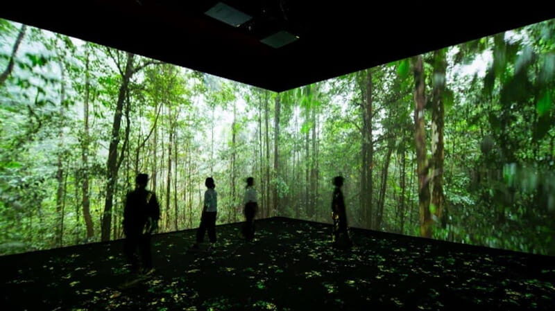 Toronto: Royal Ontario Museum Special Exhibits Voucher
