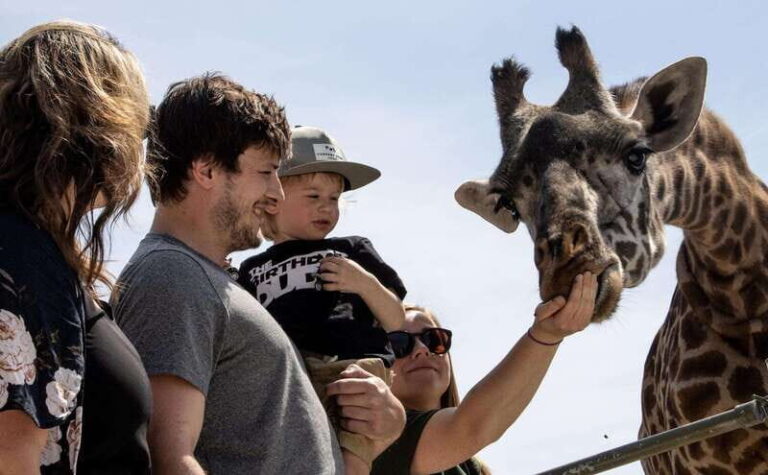 Toronto: Toronto Zoo Entry Ticket - Who Should Visit the Toronto Zoo?
