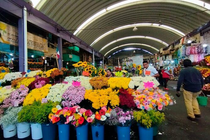 Tortilla Crawl: Food Tour in Mexico City - Authentic Food and Cultural Insights