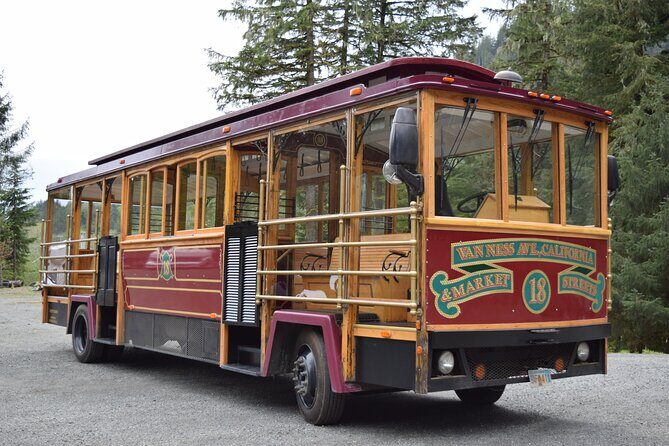 Totems, City & Wildlife by Cable Car Trolley - Transportation and Comfort